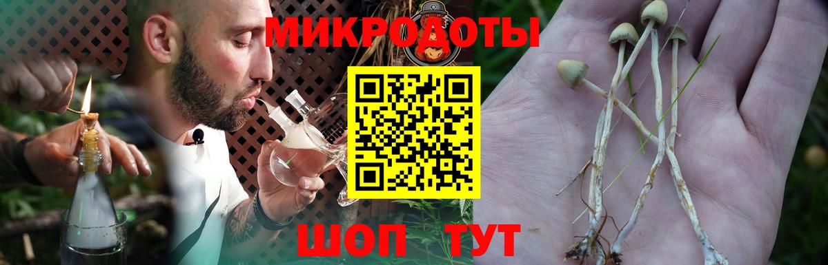 Псилоцибиновые грибы Psilocybine cubensis  Вход с VPN  Биробиджан  Псилоцибиновые грибы мухоморы 